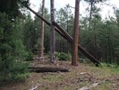 photo thumbnail #15