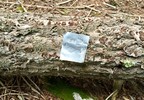 photo thumbnail #3