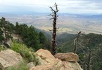 photo thumbnail #6