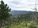 photo thumbnail #8