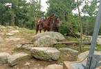 photo thumbnail #2