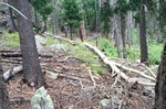 photo thumbnail #3