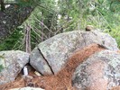 photo thumbnail #4