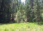 photo thumbnail #10