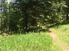 photo thumbnail #1