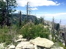 photo thumbnail #2