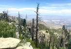 photo thumbnail #3