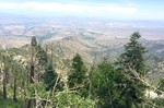 photo thumbnail #4