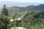 photo thumbnail #5