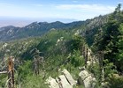 photo thumbnail #6