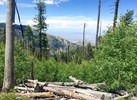 photo thumbnail #14
