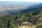 photo thumbnail #5