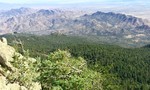 photo thumbnail #7