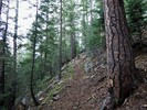 photo thumbnail #14