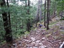 photo thumbnail #13