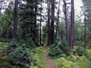 photo thumbnail #11
