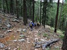 photo thumbnail #7