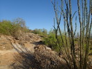 photo thumbnail #4