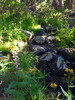 photo thumbnail #2