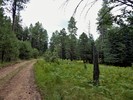 photo thumbnail #1