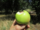 photo thumbnail #8