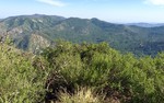 photo thumbnail #8