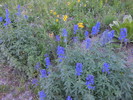photo thumbnail #1