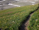 photo thumbnail #7