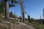 photo thumbnail #5