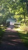 photo thumbnail #13