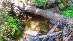 photo thumbnail #6