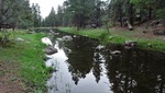 photo thumbnail #1
