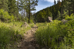 photo thumbnail #5