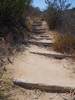 photo thumbnail #8