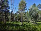 photo thumbnail #3