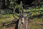 photo thumbnail #9