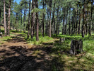 photo thumbnail #14