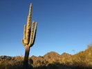 photo thumbnail #2