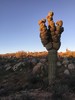 photo thumbnail #3