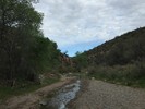 photo thumbnail #5