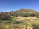2016-03-17 :1: Dove Valley Trail - MSPN :: Crzy4AZ