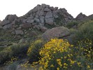 photo thumbnail #7
