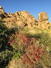 photo thumbnail #1
