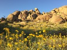 photo thumbnail #2