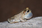 photo thumbnail #13