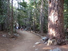 photo thumbnail #3