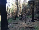 photo thumbnail #4