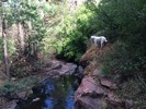 photo thumbnail #10
