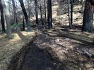 photo thumbnail #13