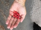 photo thumbnail #1